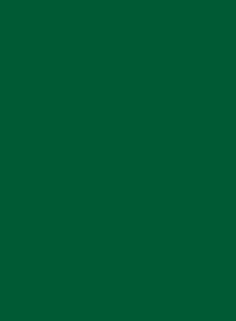 6029 Мятно-зеленый