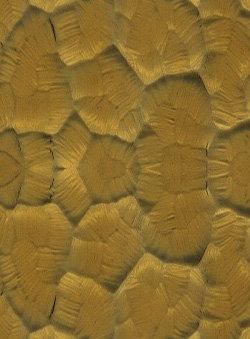 Атлантик желтый