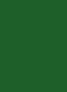 6002 Лиственно-зеленый