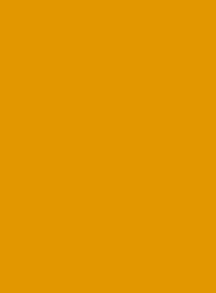 2000 Жёлто-оранжевый