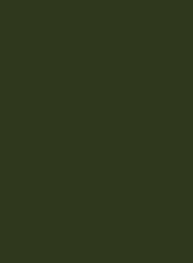 6014 Желто-оливковый