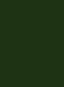6020 Хромовый зеленый