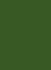 6025 Папоротниково-зеленый