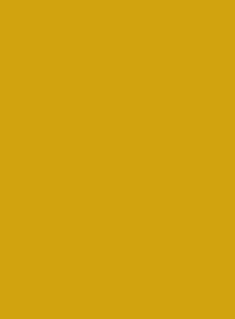 1005 Медово-жёлтый