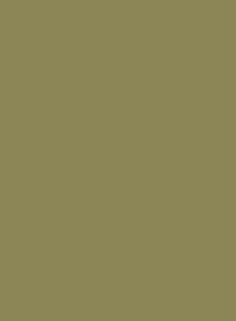 6013 Тростниково-зеленый