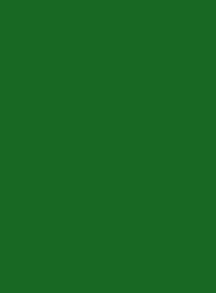 6010 Травяной зеленый