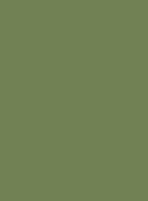 6021 Бледно-зеленый