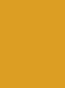 1007 Нарциссово-жёлтый