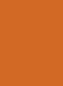 2012 Лососёво-оранжевый