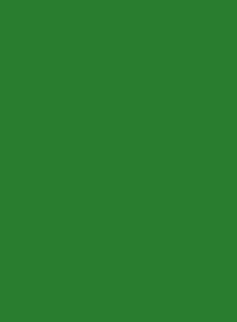 6024 Транспортный зеленый