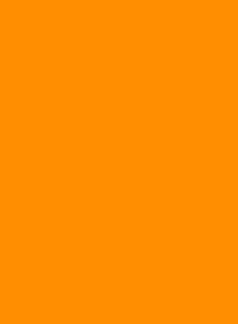 2007 Люминесцентный ярко-оранжевый